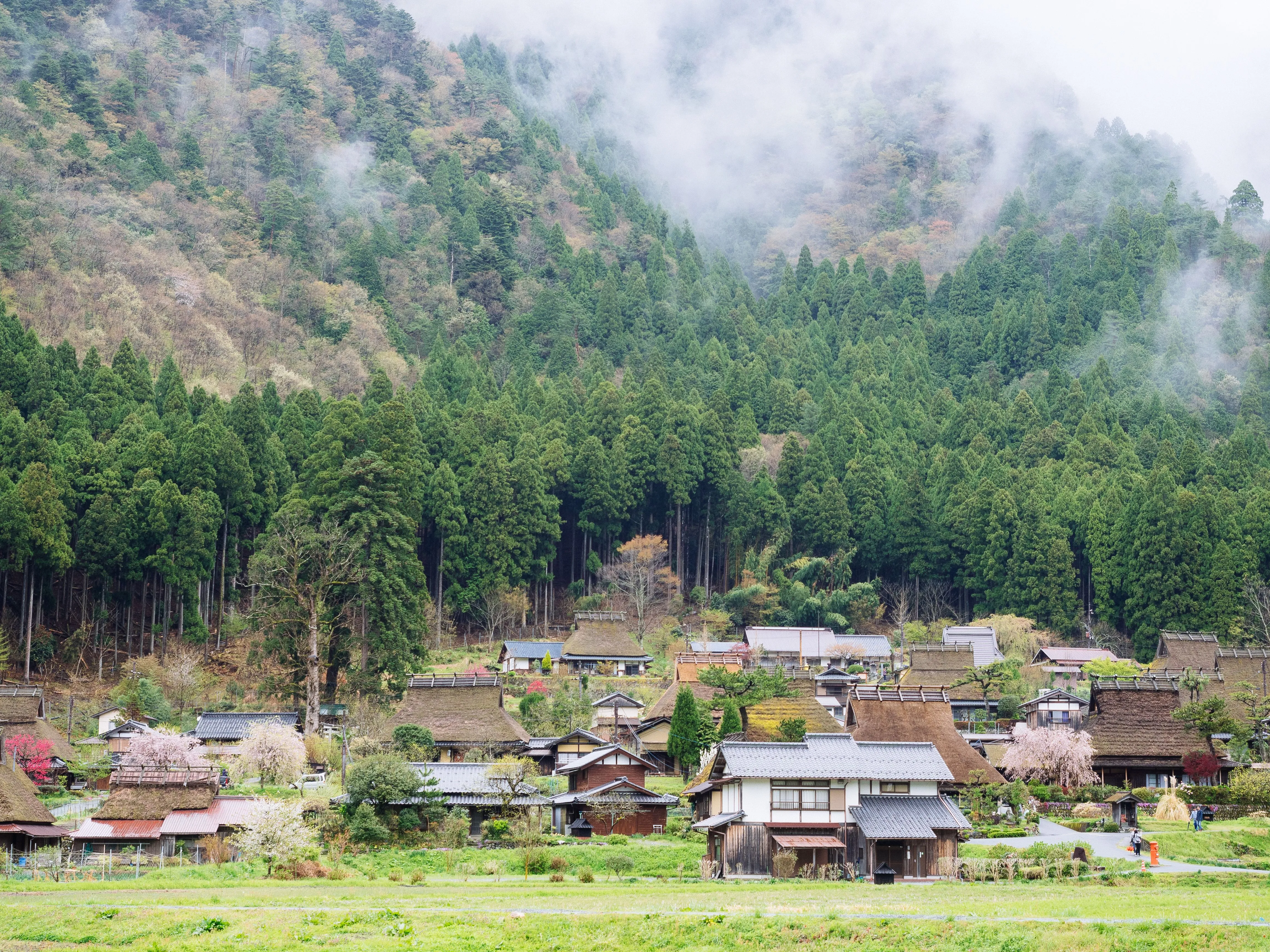 Thatched-roof farmhouses in a green valley in the Japanese countryside