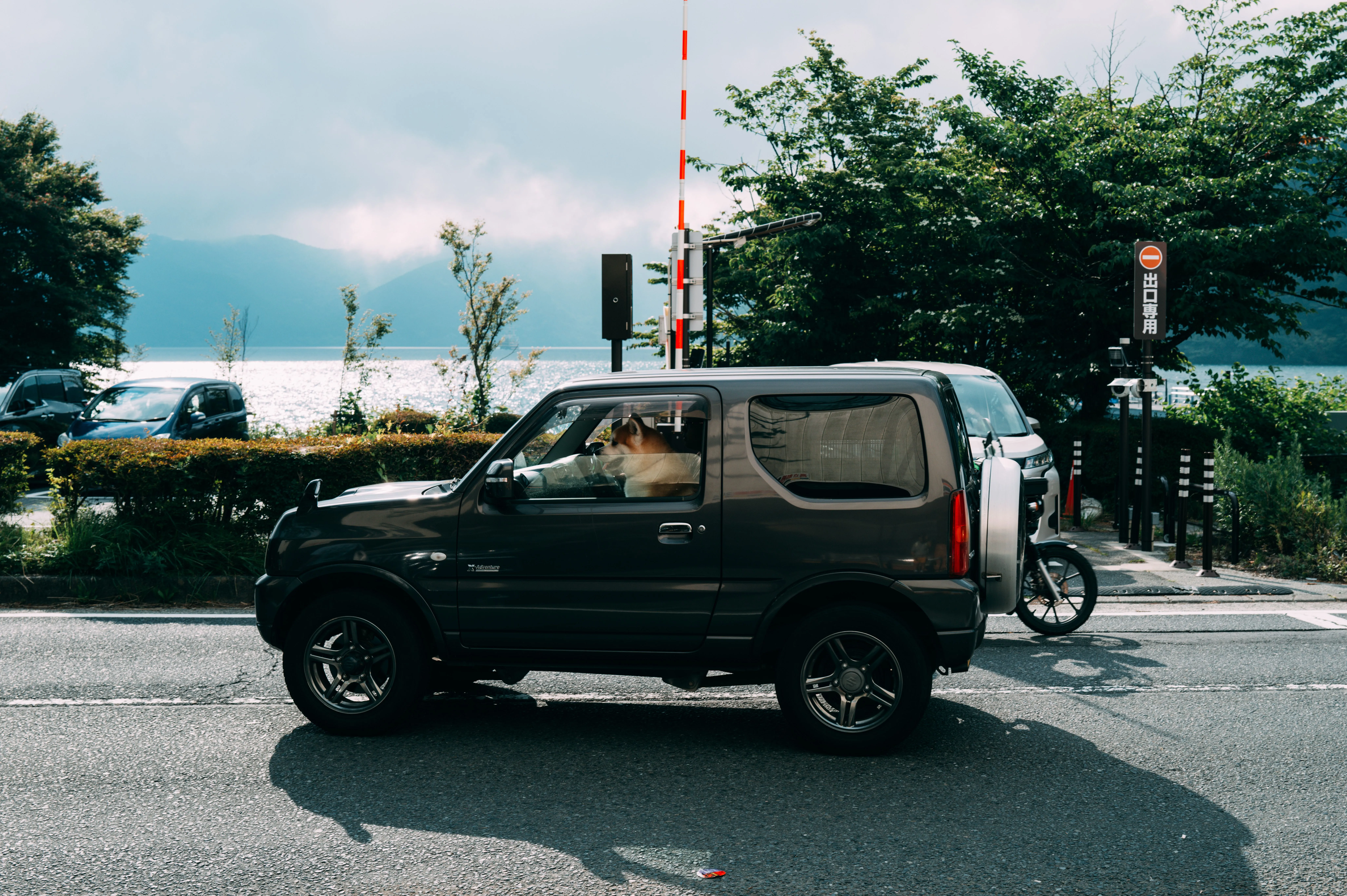 A dark Suzuki Jimny kei car on a lakeside road in the Japanese countryside, with a Shiba Inu at the driver's window